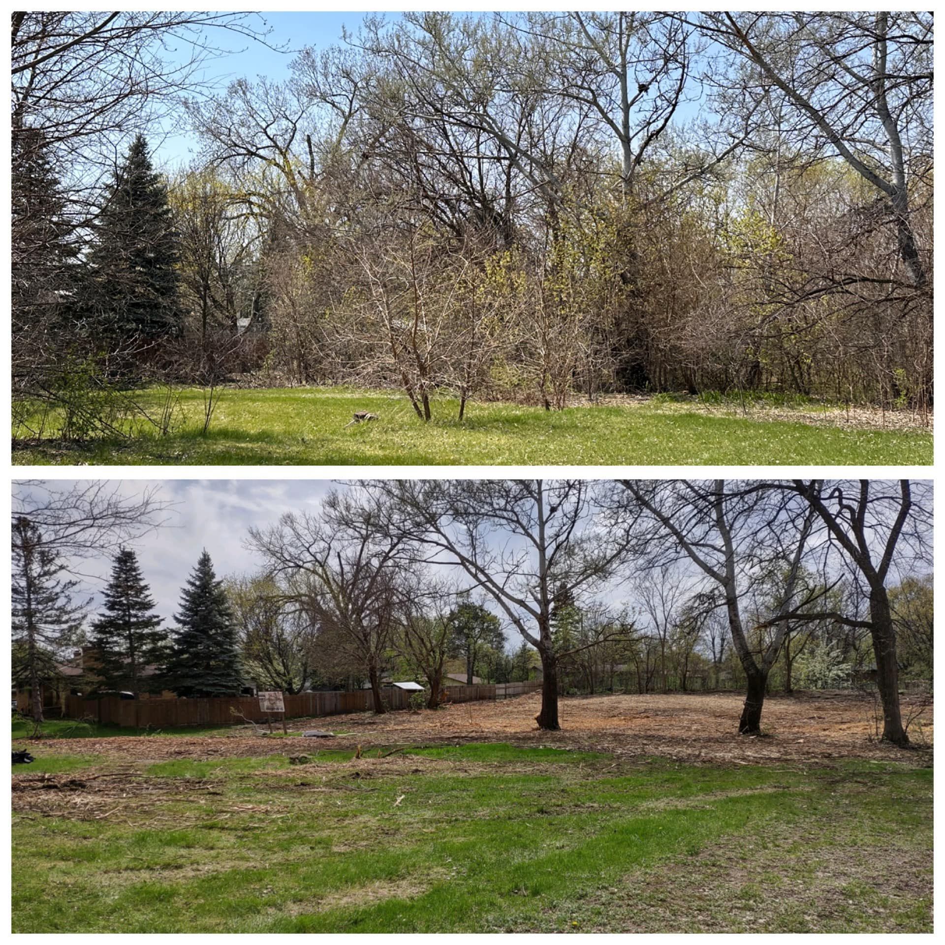 A before and after picture of a park with trees and grass.