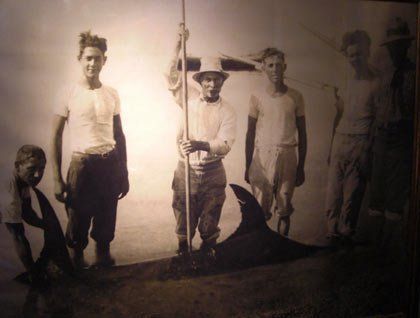 Una foto in bianco e nero di alcuni uomini che hanno arpionato un pesce