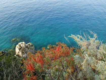 Degli alberi con delle foglie rosse e vista dell'acqua cristallina del mare con gli scogli