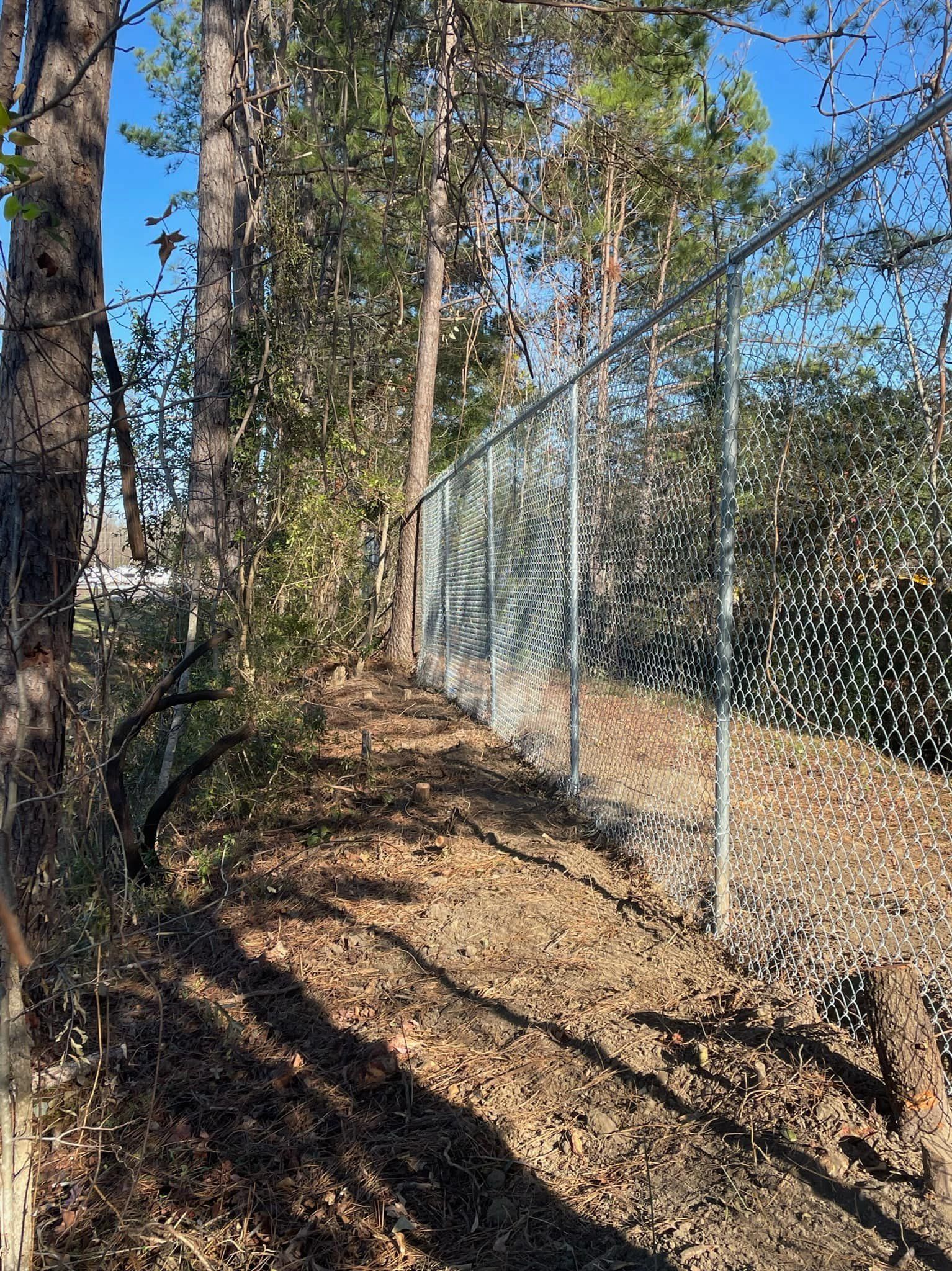 A chain link fence surrounds a path in the woods.