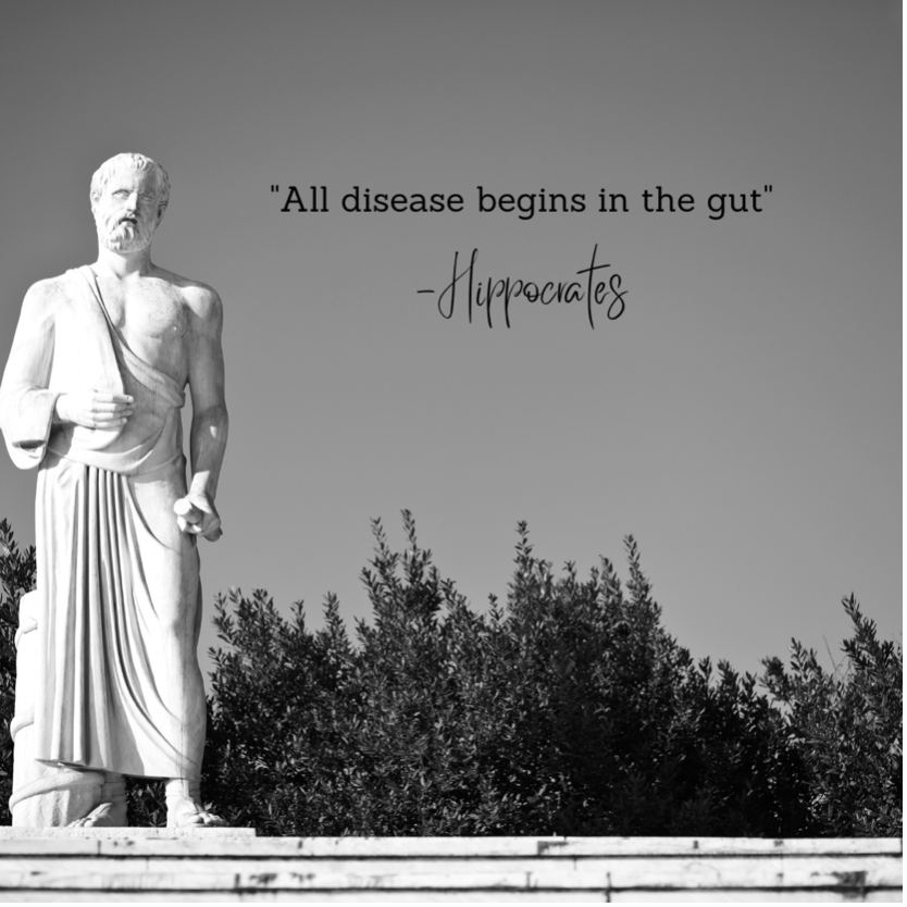 Statute of Hippocrates with quote saying 