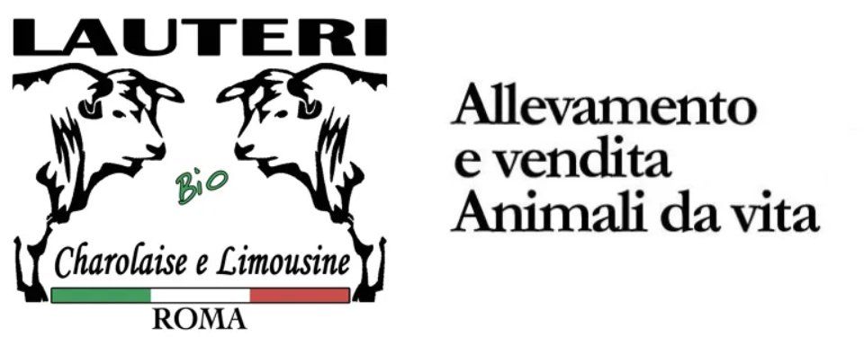 Logo - Lauteri
