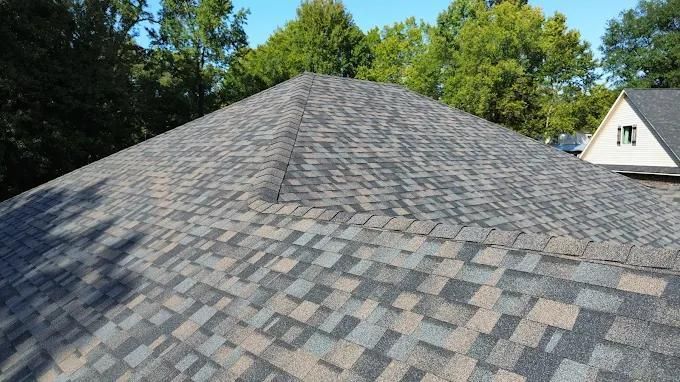 Close-up of a multi-colored shingle roof under a clear blue sky with trees in the background.