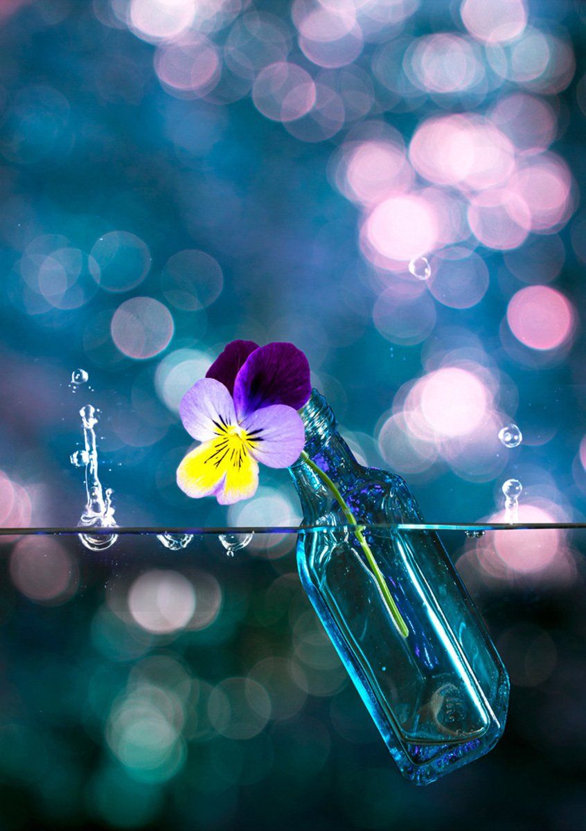 Blue Bottle by Alan Wallace