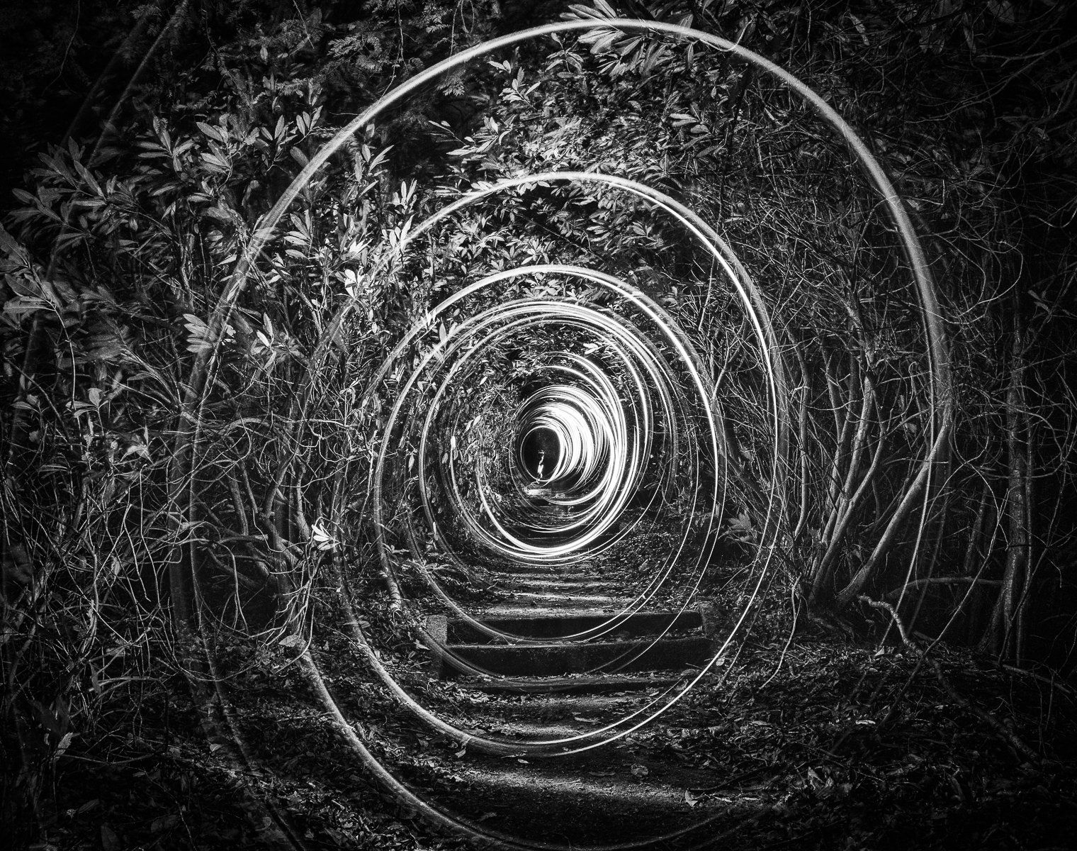 Follow Me by Boyd Meiklejohn