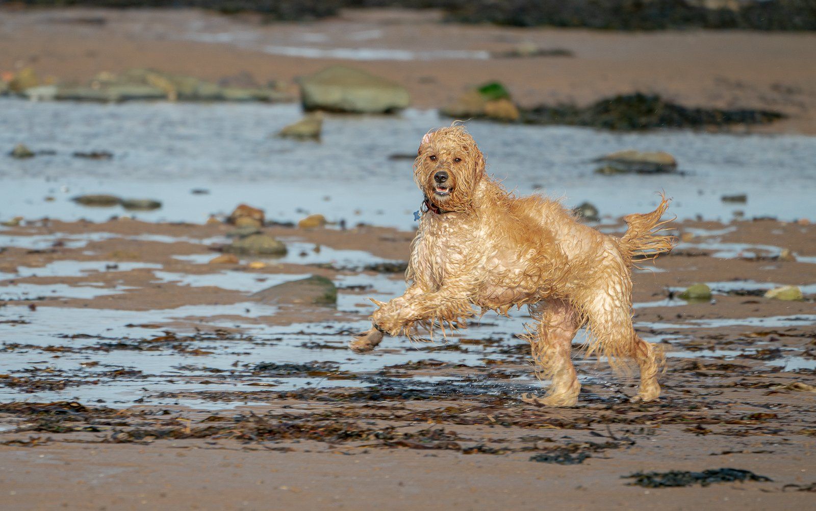 Life's A Beach by Michael Kelso