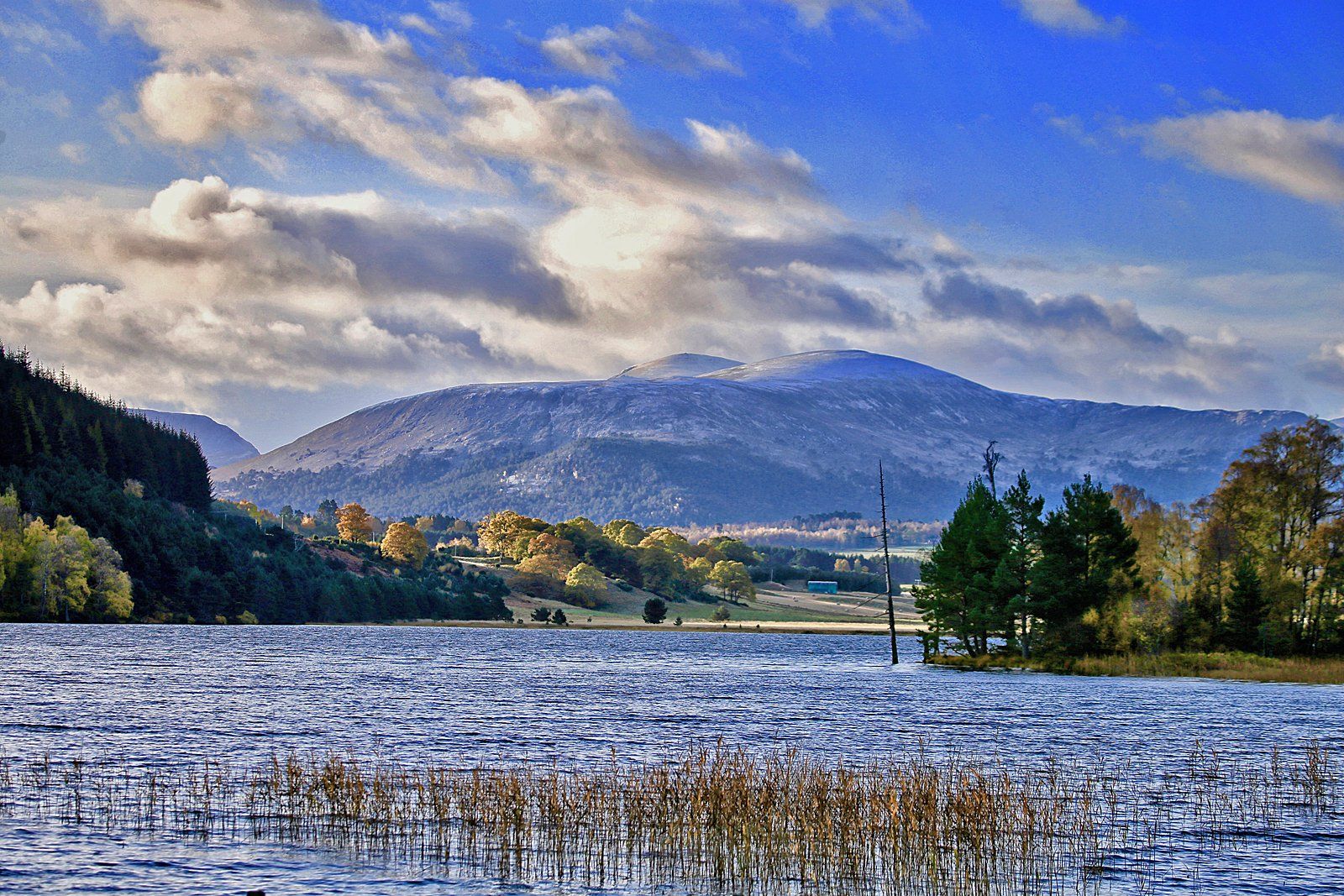 Loch Pityoulish by Gordon Ross