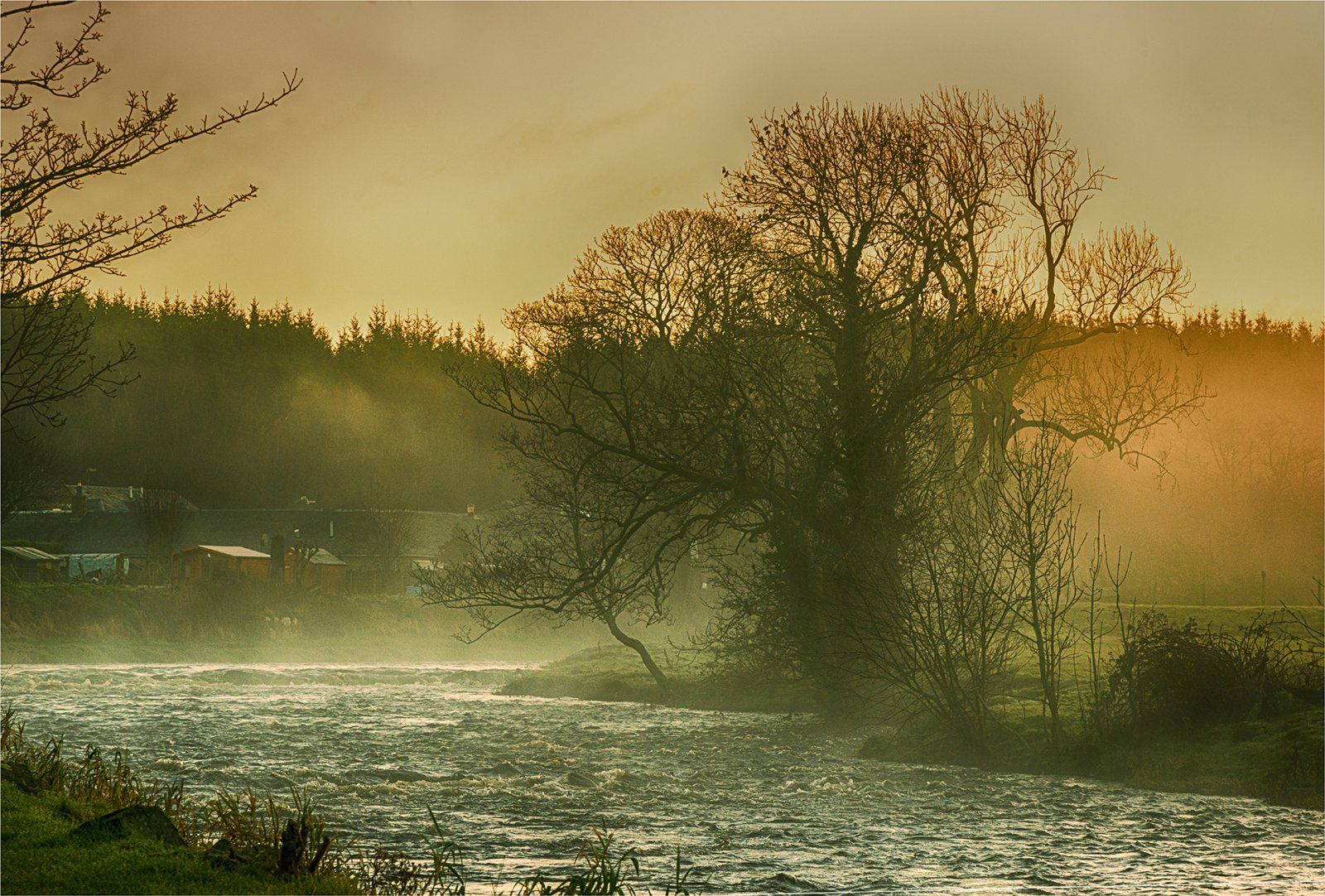 Mist On The Doon by David Blatchford