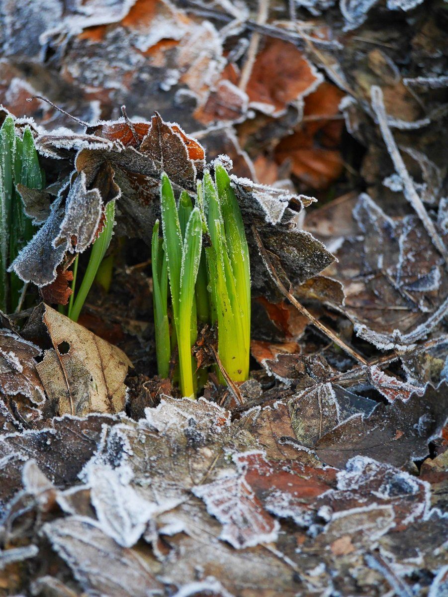 Hopeful Signs by Austin Cooke