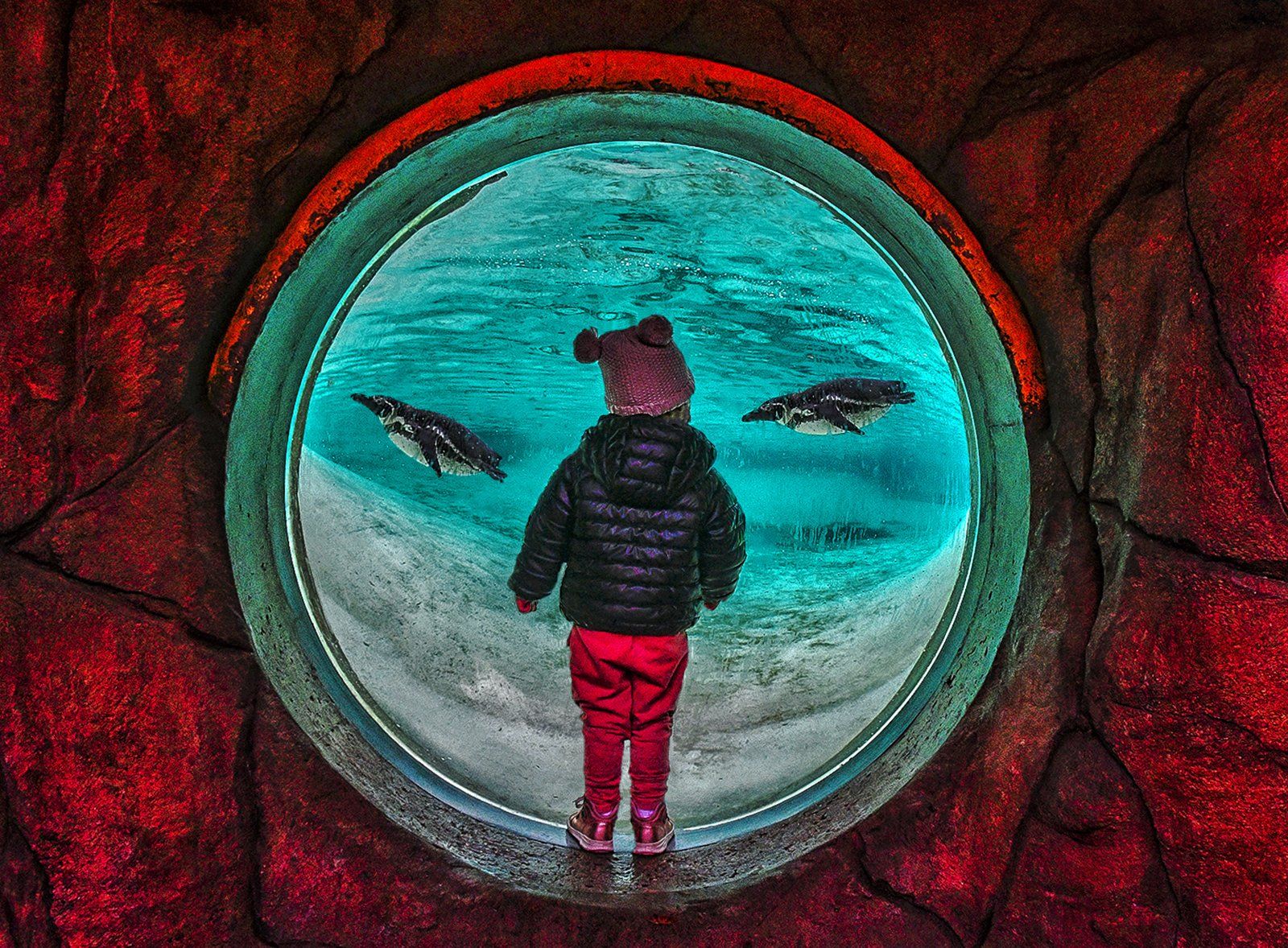 Looking into another world