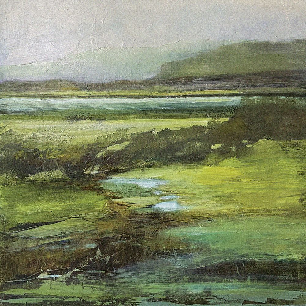 Ayrshire Landscape by Dianne Gardner