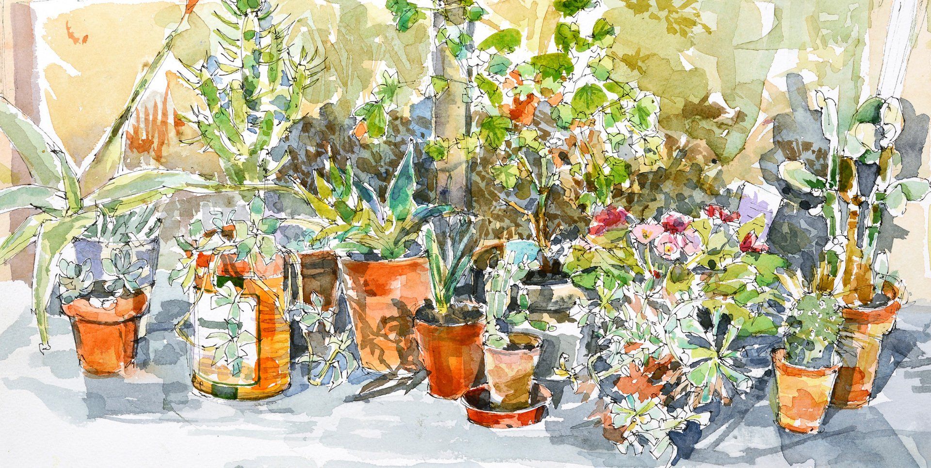 Greenhouse Pot Plants