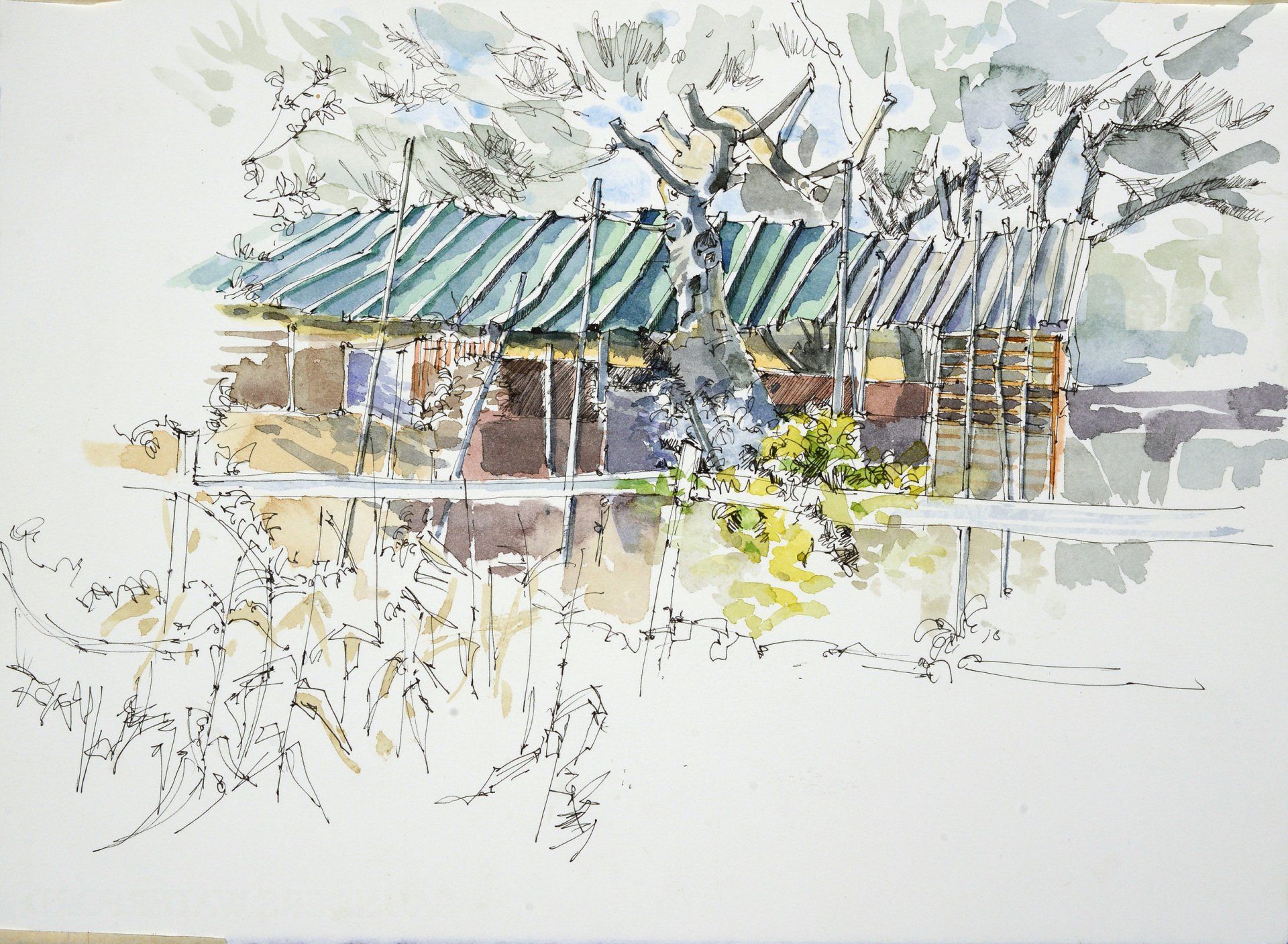 Vegetable Garden, Palhagueira, Portugal