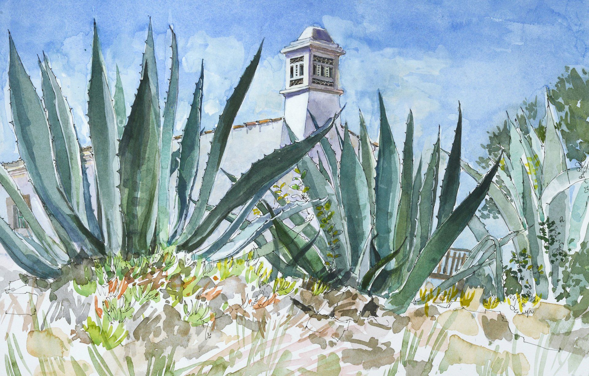 Giant Agaves, Palhagueira, Portugal