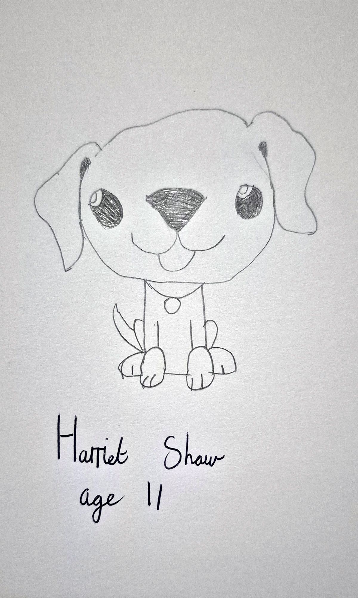 Dog by Harriet Shaw, 11
