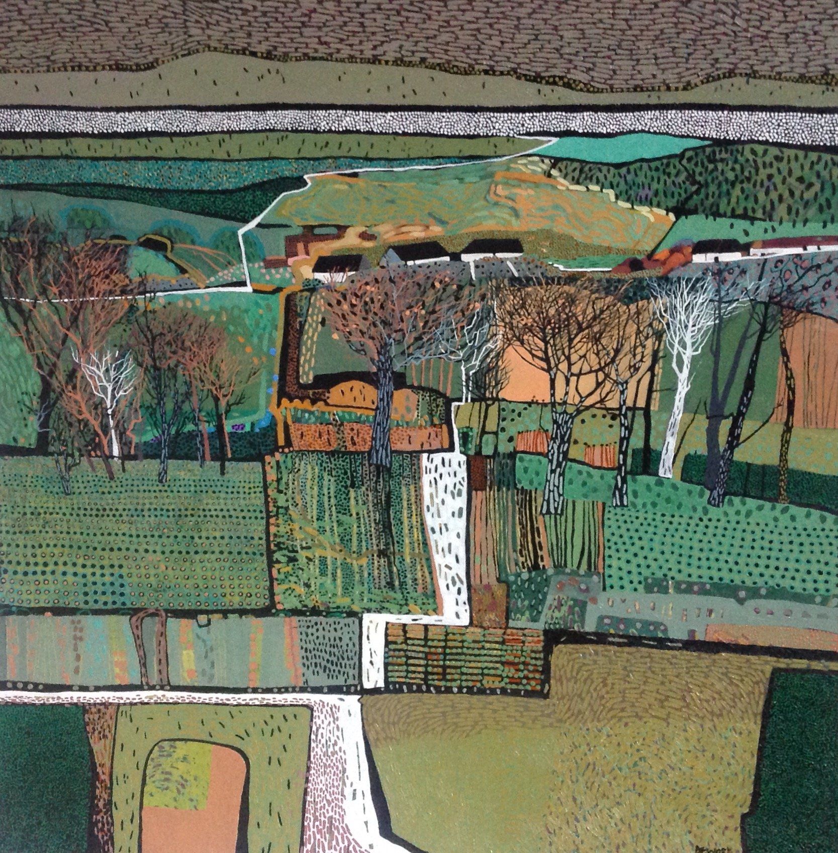 Homelands by Carol Dewart