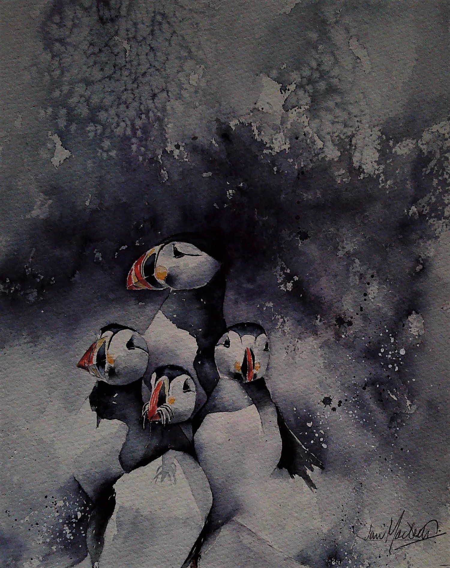 Catch of the Day, Jan MacBeth