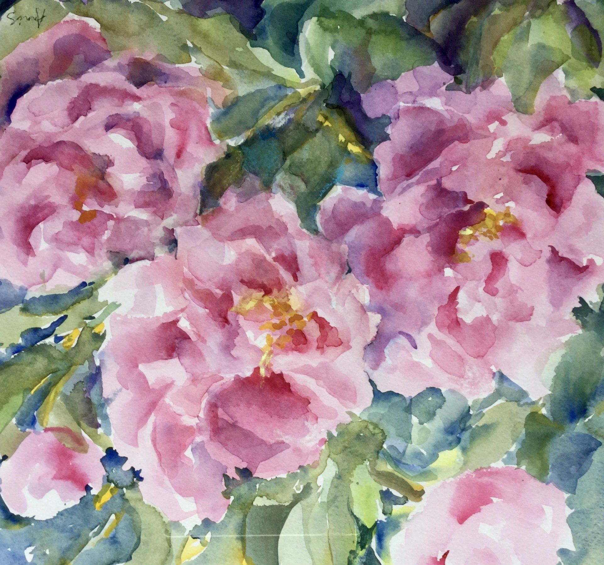 Paeonies in the pink by Annis Anderson