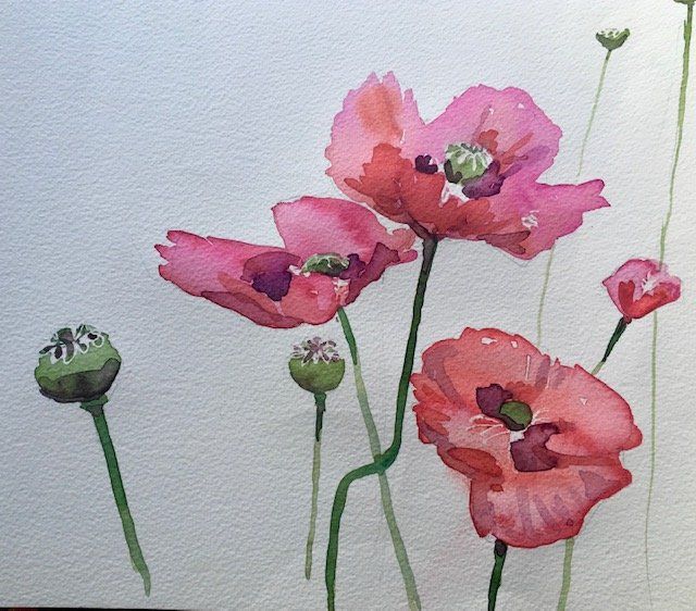 Red Poppies by Jenny Hunter