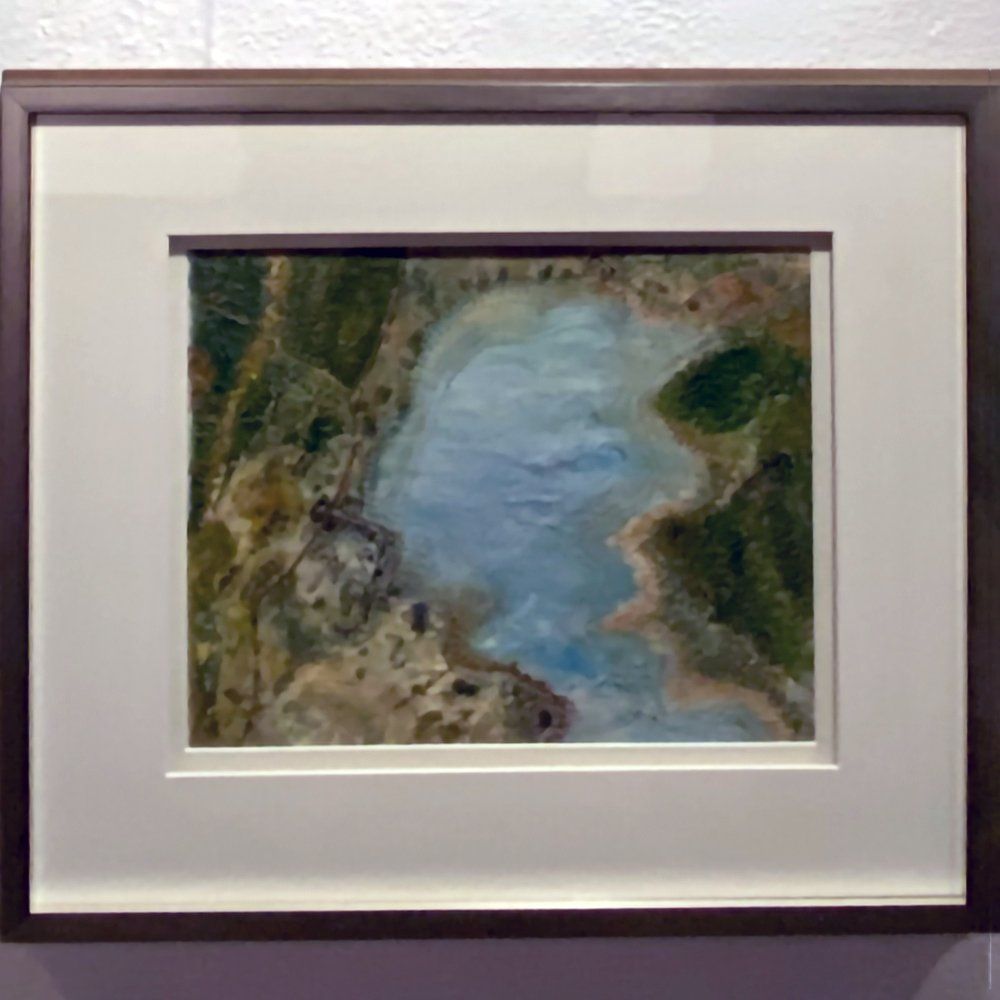 Sea Gull’s View of Lochgair by Maggie Murray