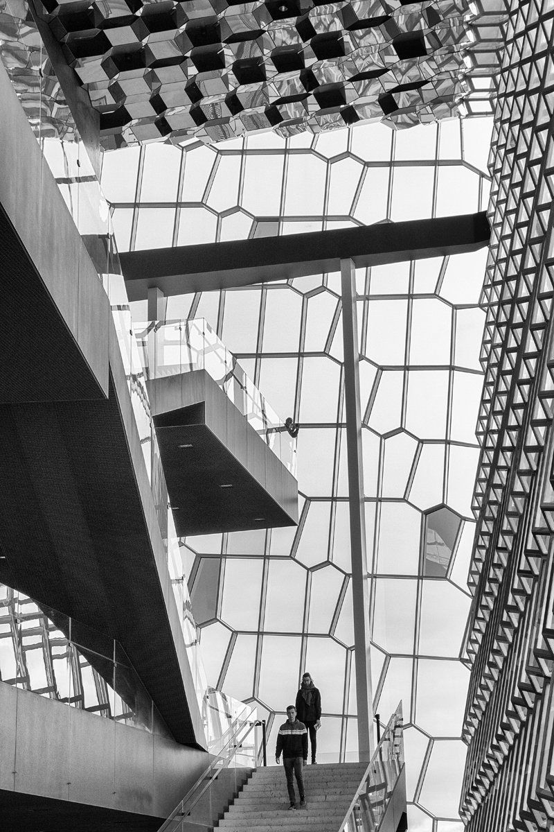 Inside the Harpa