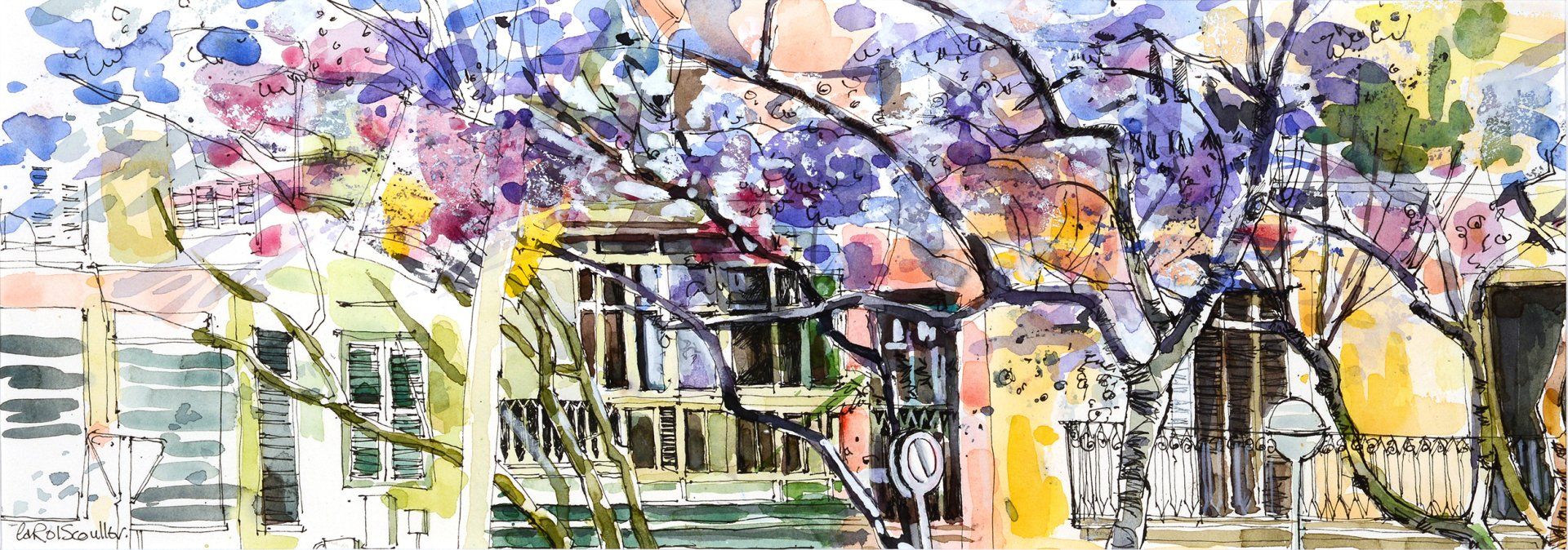 Jacaranda Blossom, Palma (High Grade) - Carol Scouller