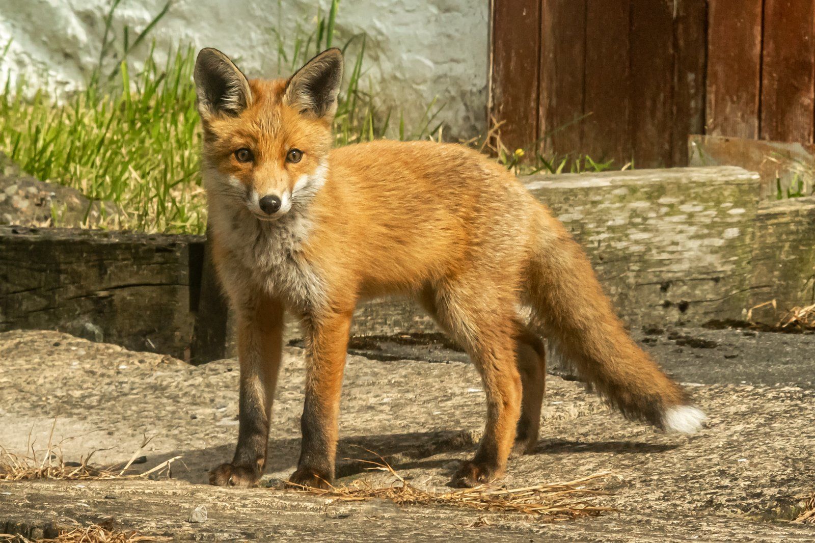 Just passing through