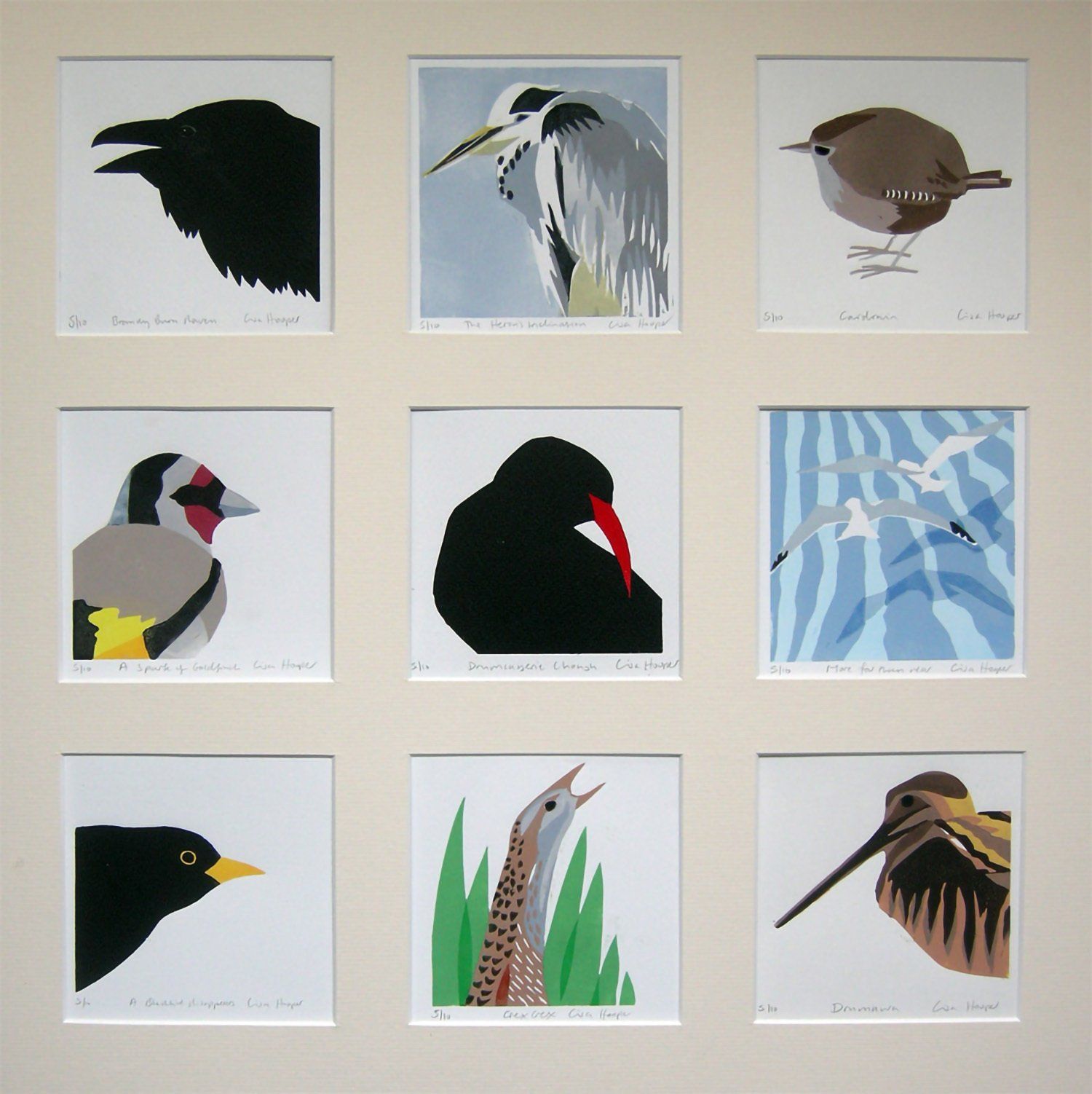 Where are the Birds taking me?