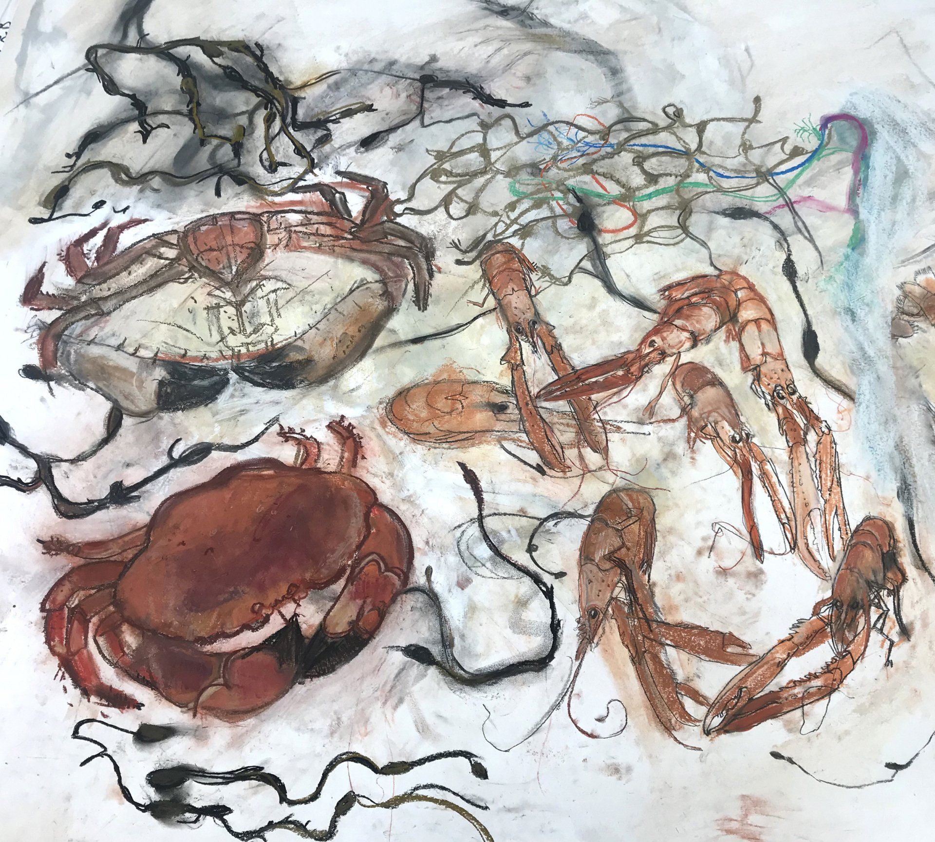 Crabs and Langoustines