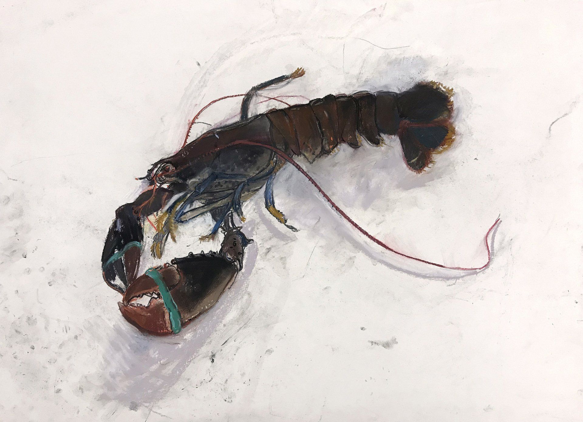 Lobster with Green Bands