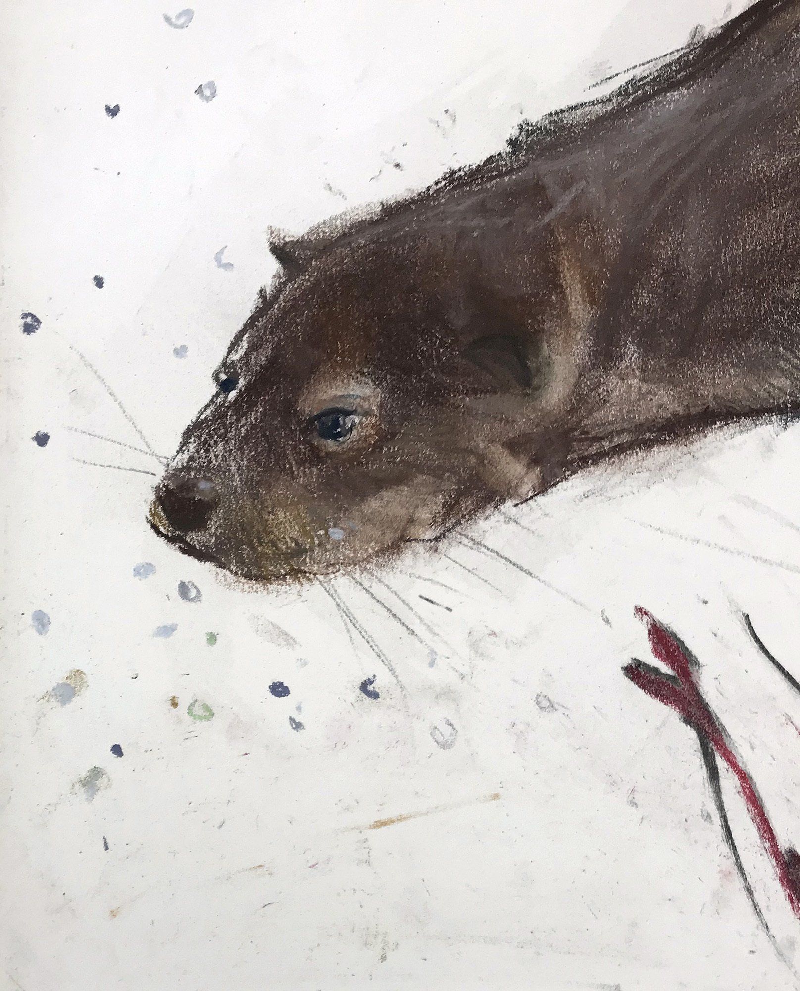 Otter (detail)