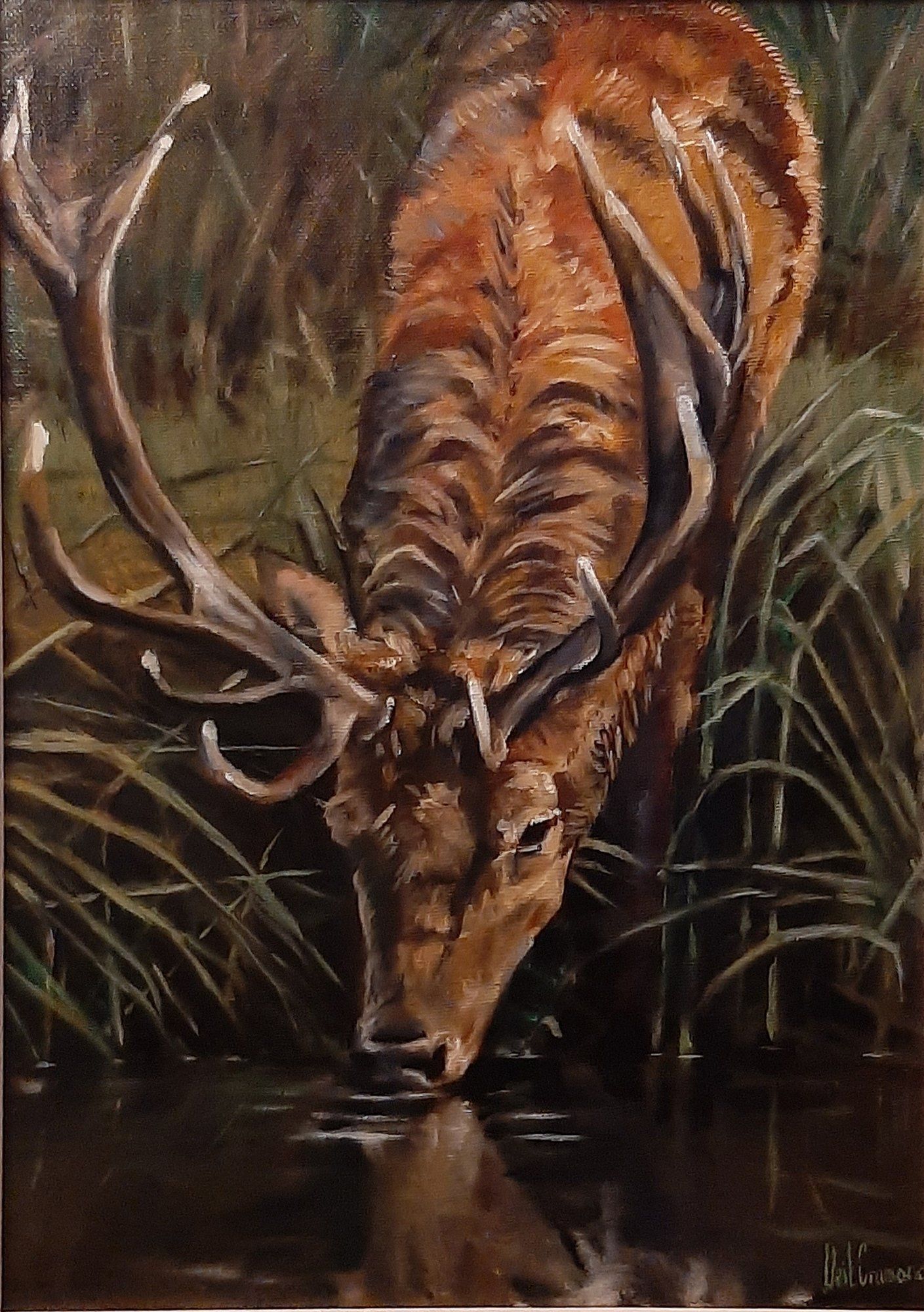 Drinking Stag - Neil Cramond