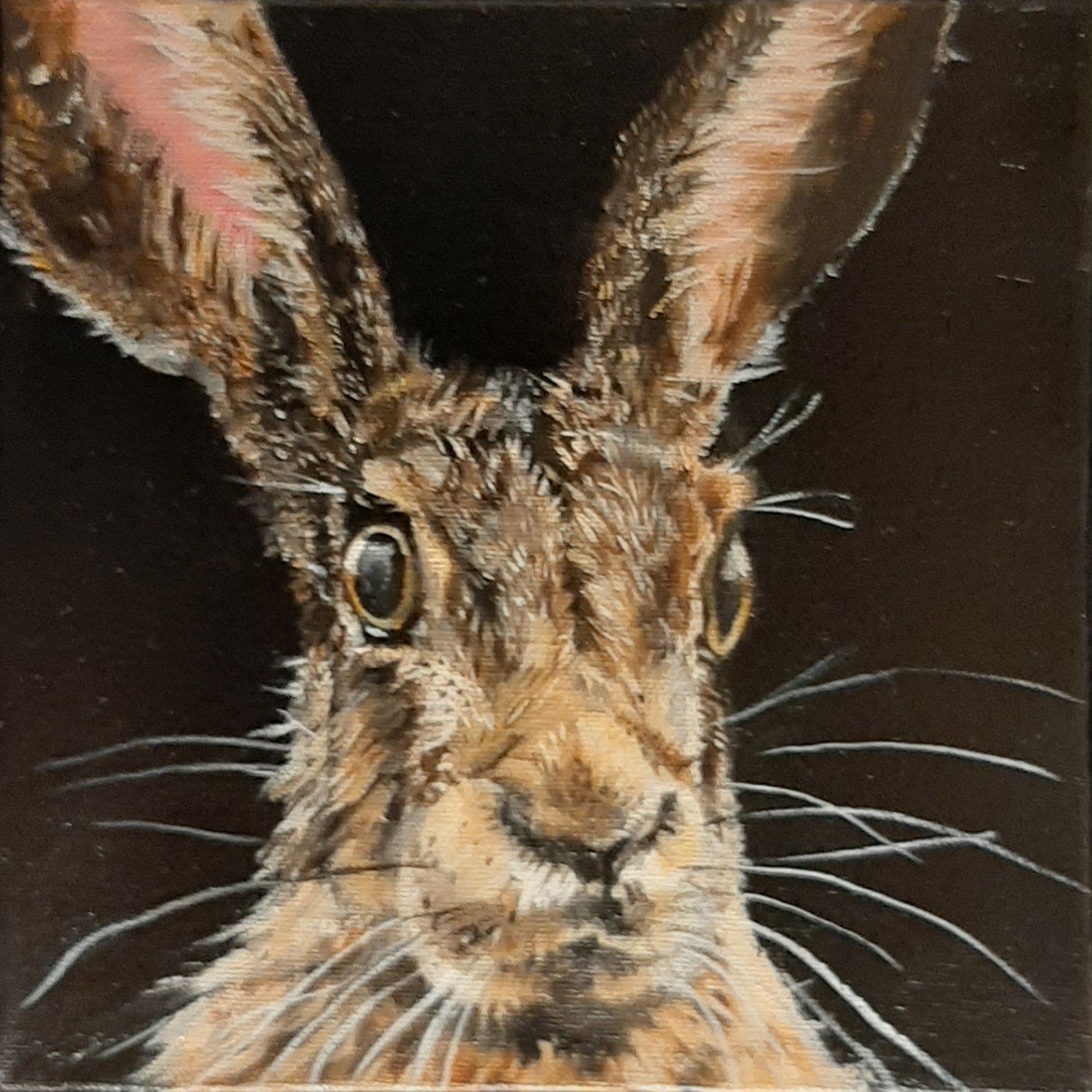 Hartley Hare - Neil Cramond