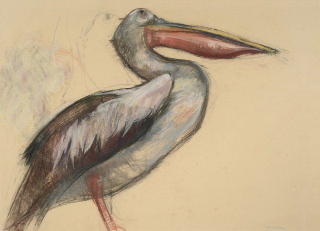 ‘Pelican’ - Lara Scouller