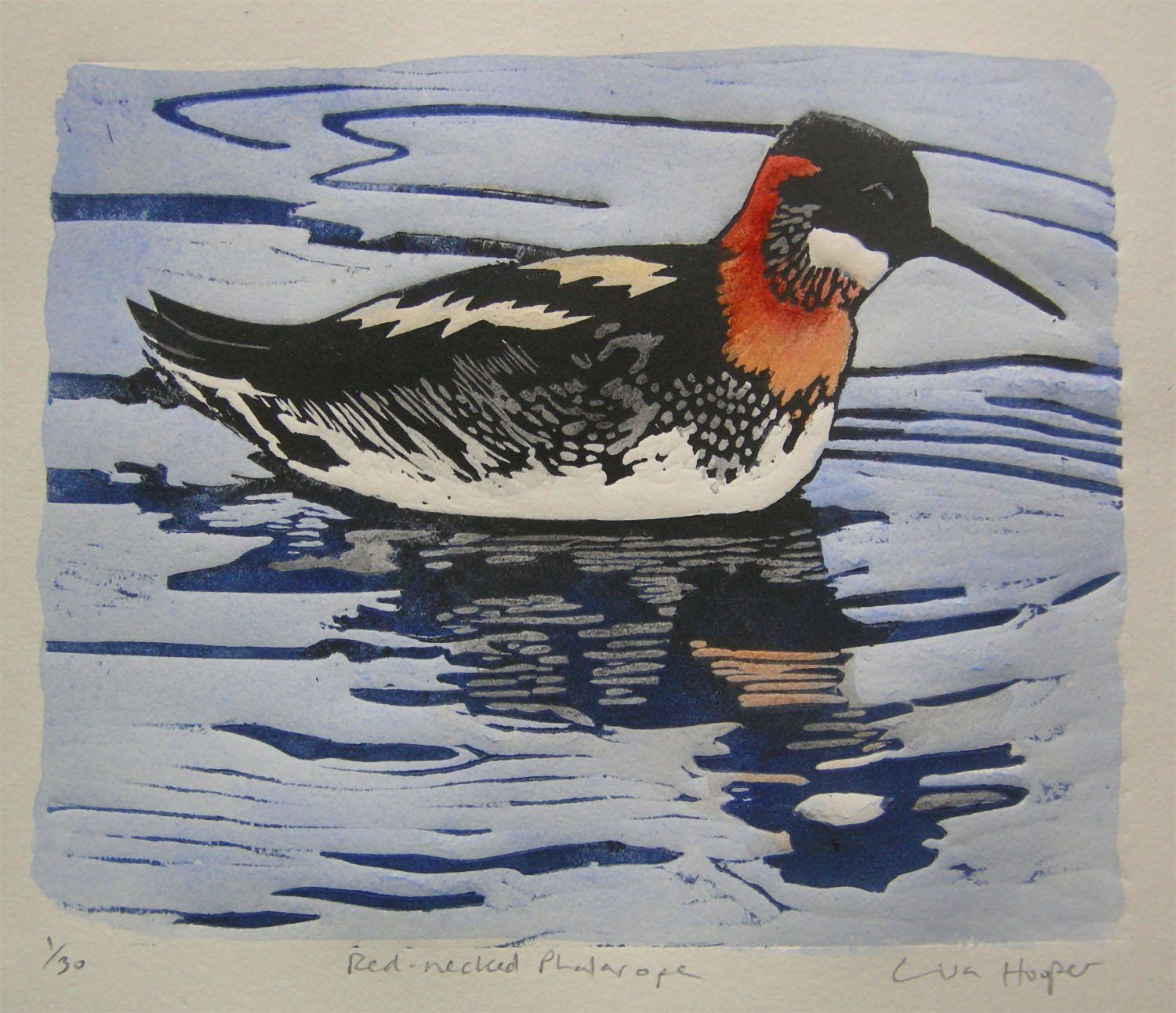 Red Necked Phalarope