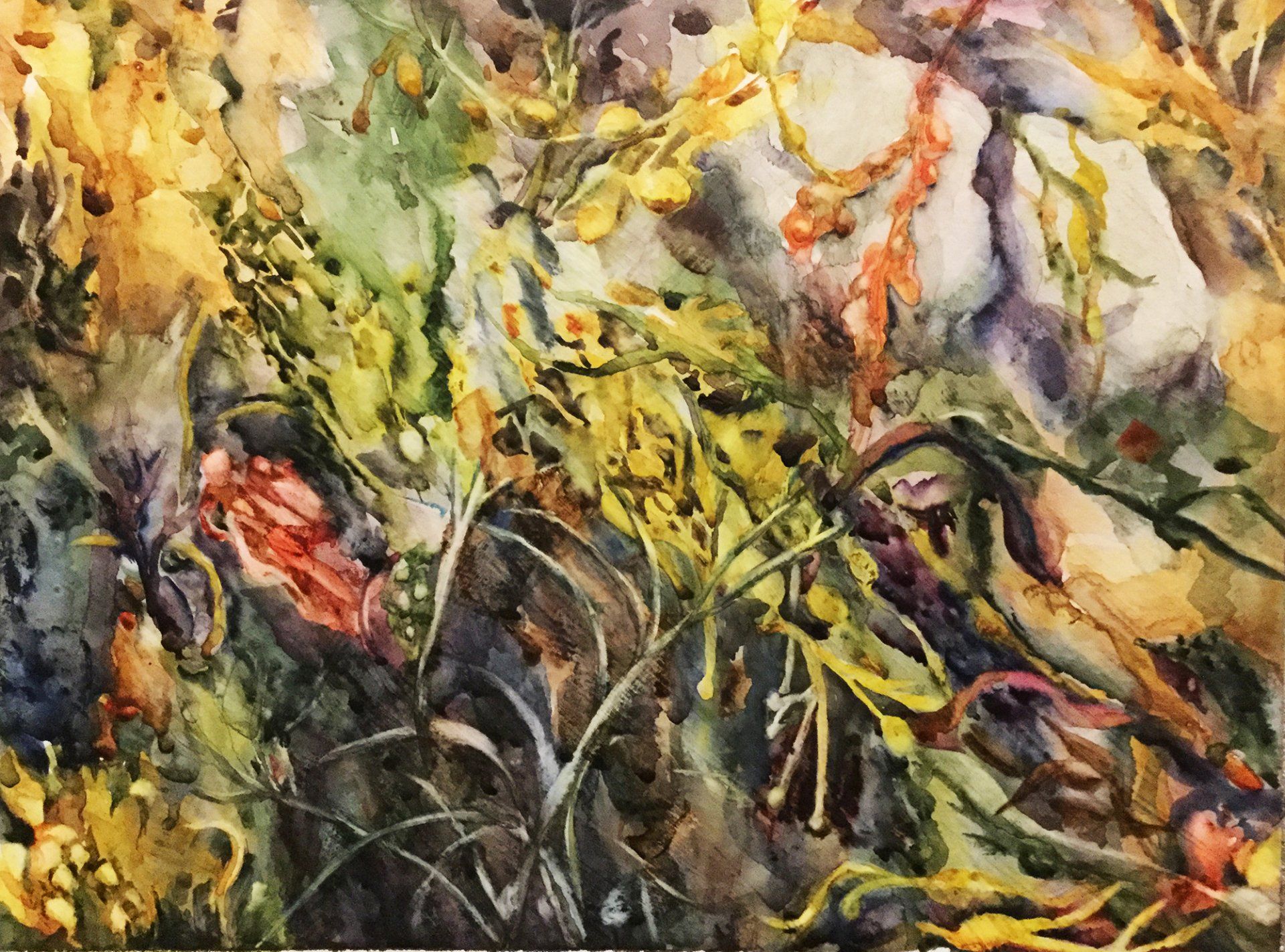 Between the Tides - Susan Macinnes