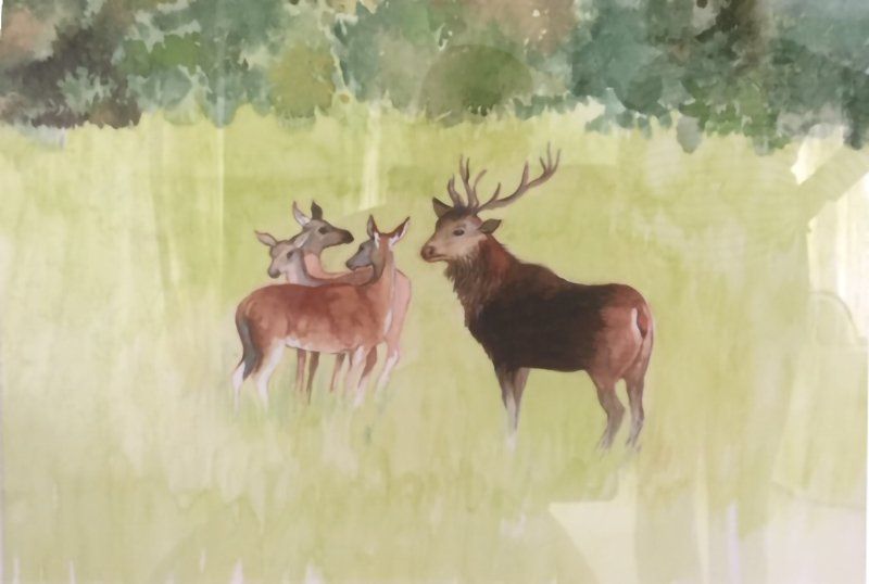 The Noble Patriarch, Galston by Sheila Gold