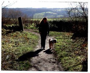 A dog walking in the Moss Valley Countryside
