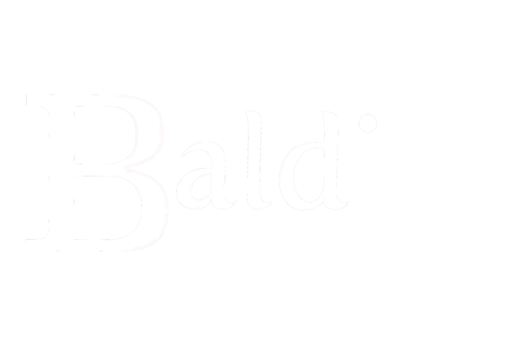 Baldini Property management Logo
