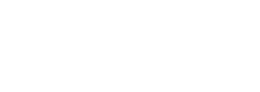 Baldini Realty Logo
