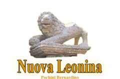 logo onoranze funebri nuova leonina