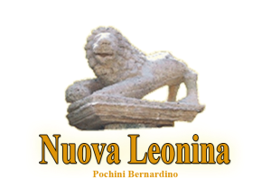 logo onoranze funebri nuova leonina