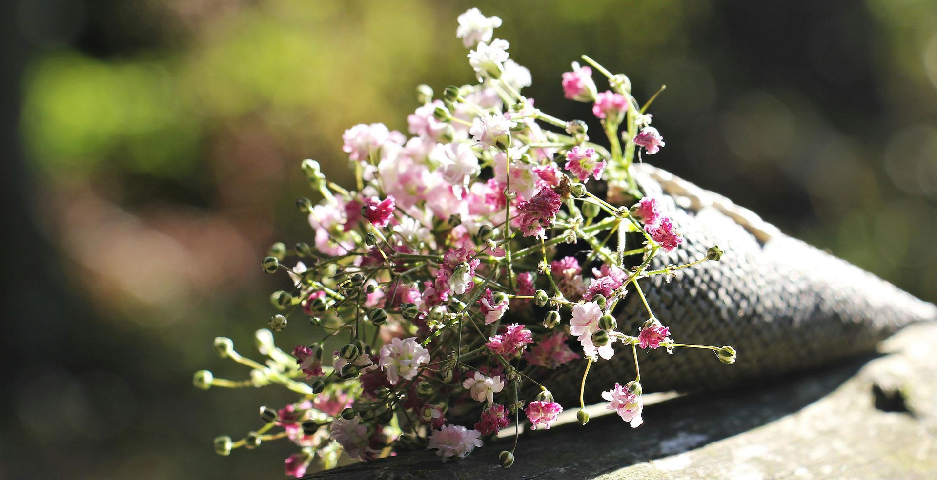 Bouquet of tiny pink and white flowers in a gray cone, on a blurred green background.