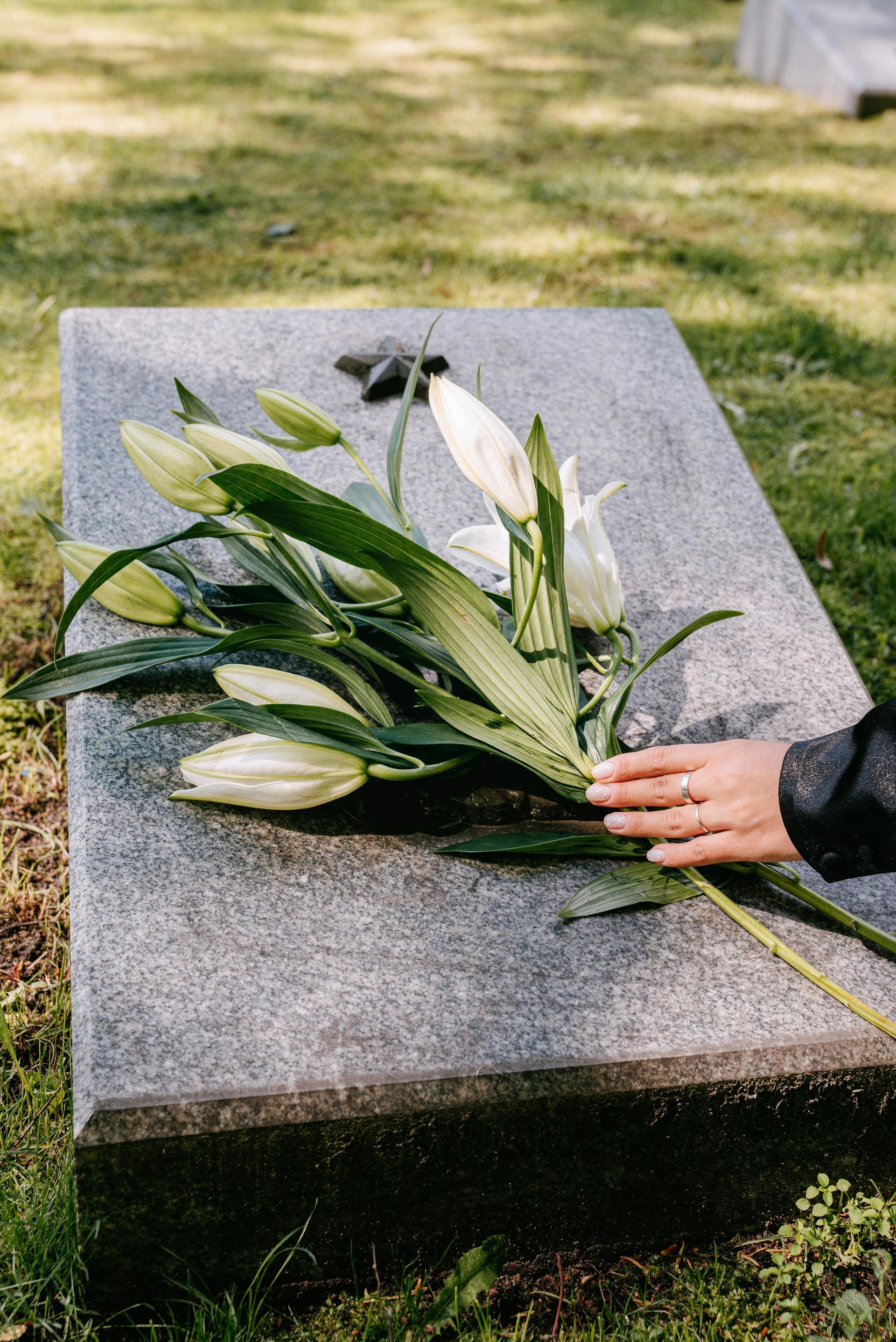 Hand placing white lilies on a gray tombstone in a grassy cemetery.