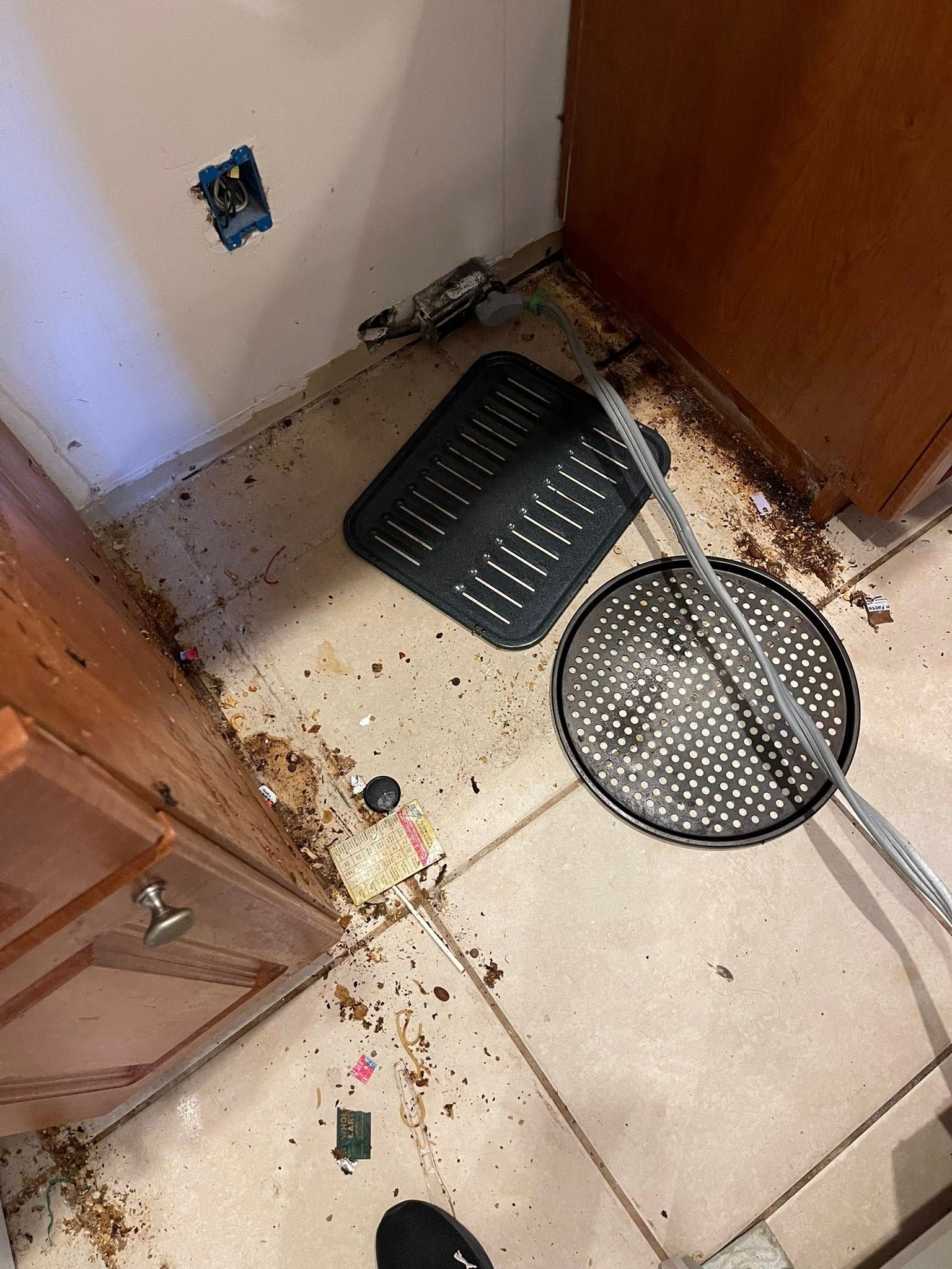 Dirty kitchen floor with a black basket, strainer, and debris near cabinets and a wall outlet.