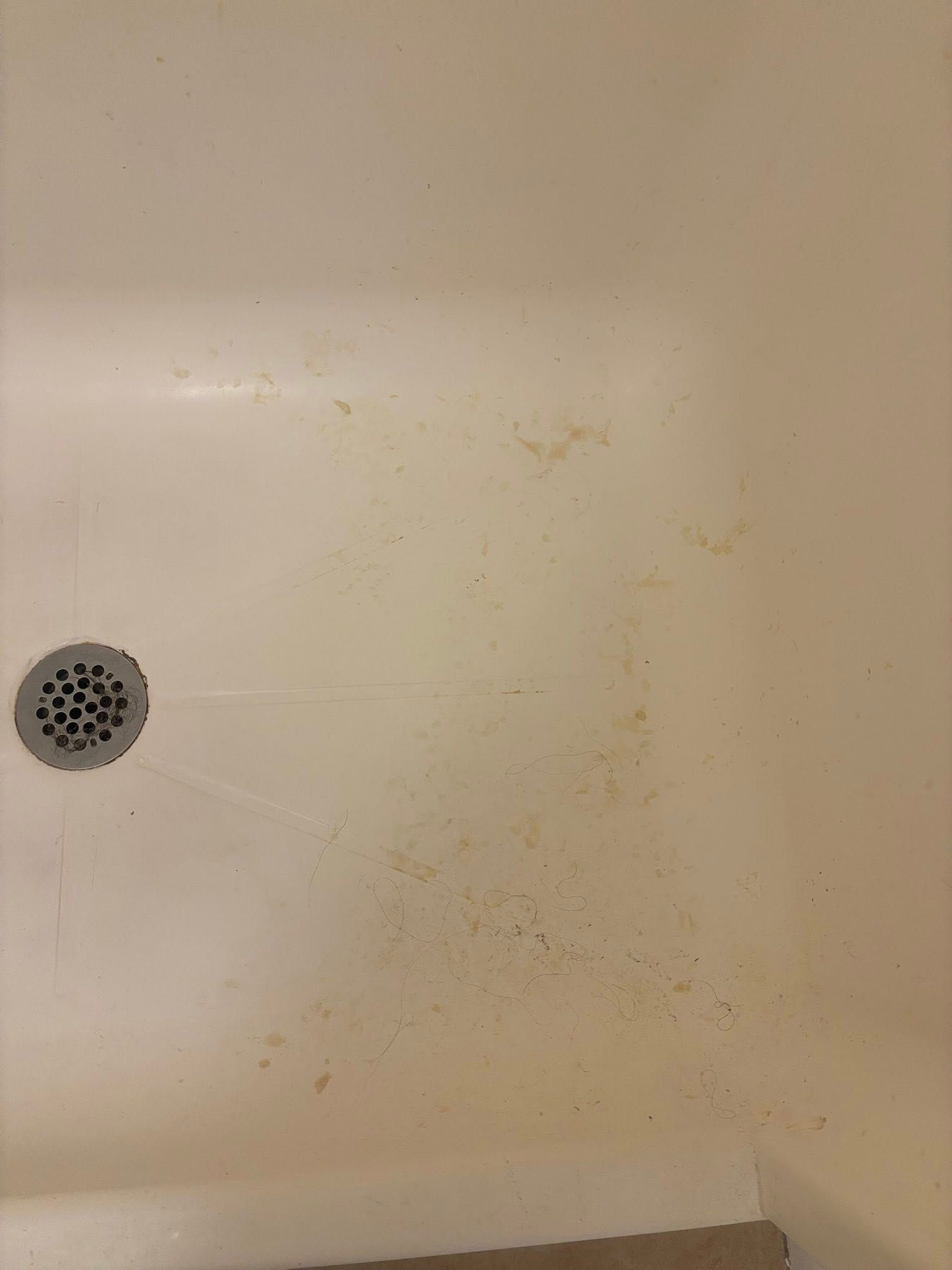 Dirty shower floor with drain, light brown stains.