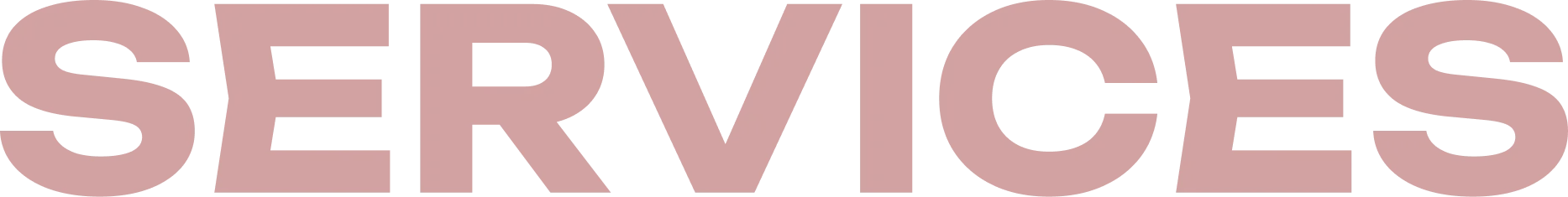 Services Text | Auto Squad OC