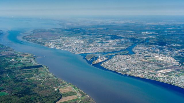 Émondage GKM photo 7