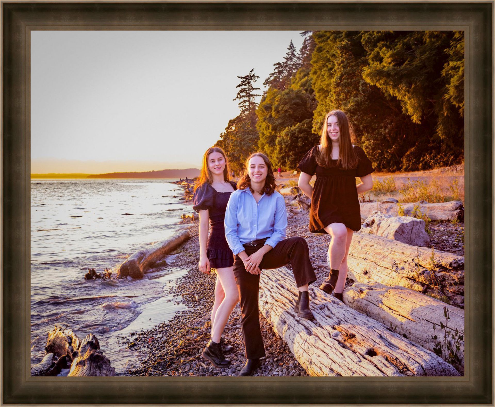 FAmily lake washington, tall grass, dog, family jumping  summer family portraits, four sisters, beach, west seattle ,seattle, bellevue,kirkland, redmond, issaquah, clyde hill, medina,