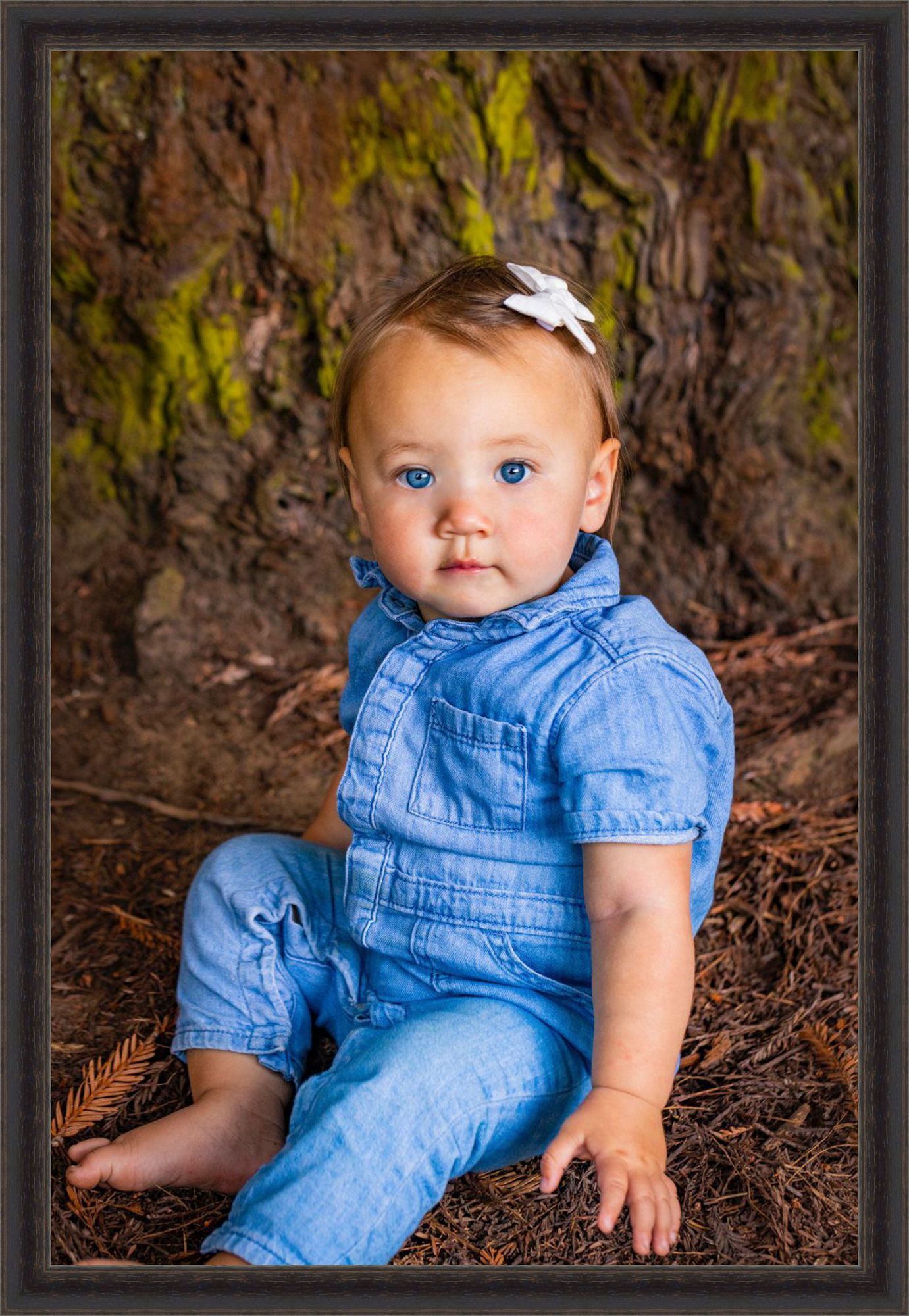 toddler girl in blue  redwoods portrait